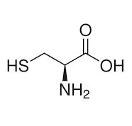 L-Cystéine