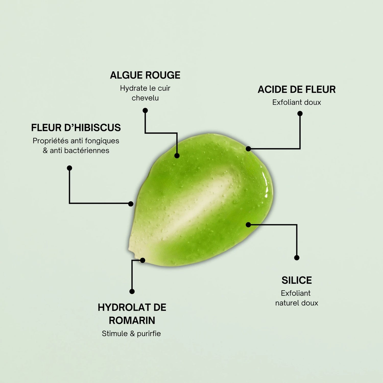 Ingrédients naturels du gommage capillaire Biologist Mood : algue rouge, fleur d’hibiscus, romarin, silice et acide de fleur
