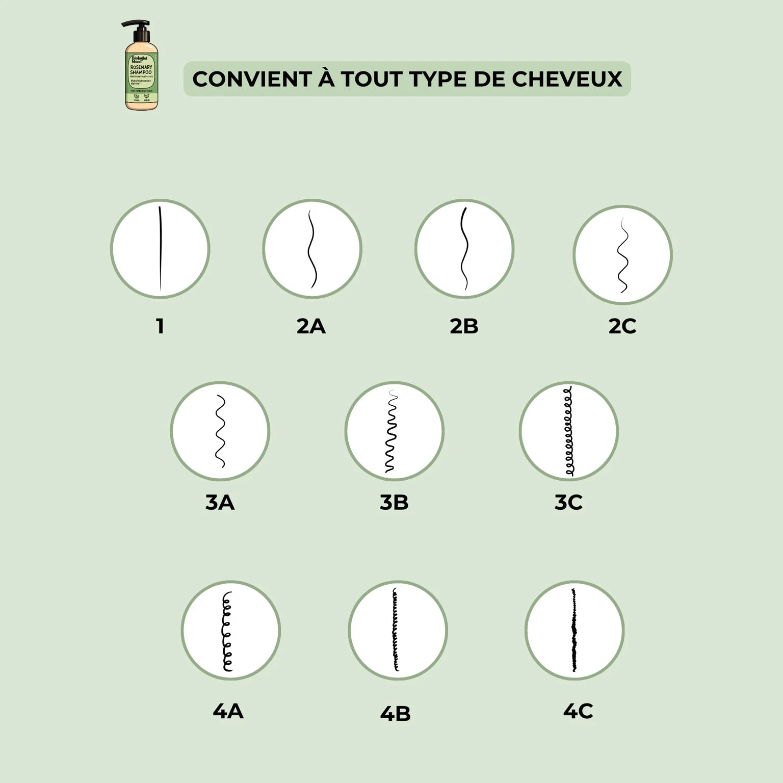Illustration des types de cheveux de 1 à 4C pour lesquels le shampoing Biologist Mood est adapté.