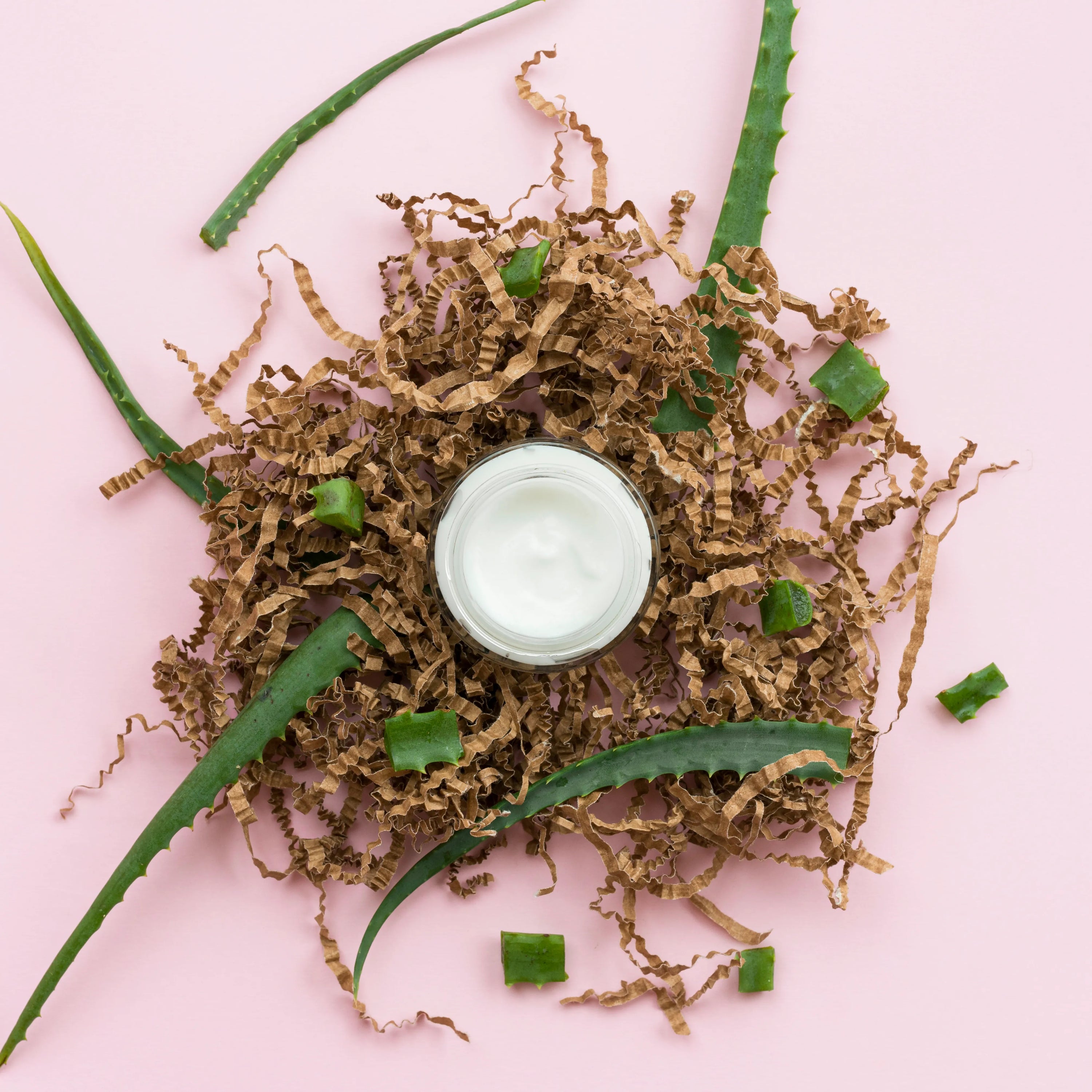 Feuilles d’aloe vera fraîches utilisées en masque cheveux afro pour hydrater et réparer les cheveux crépus secs