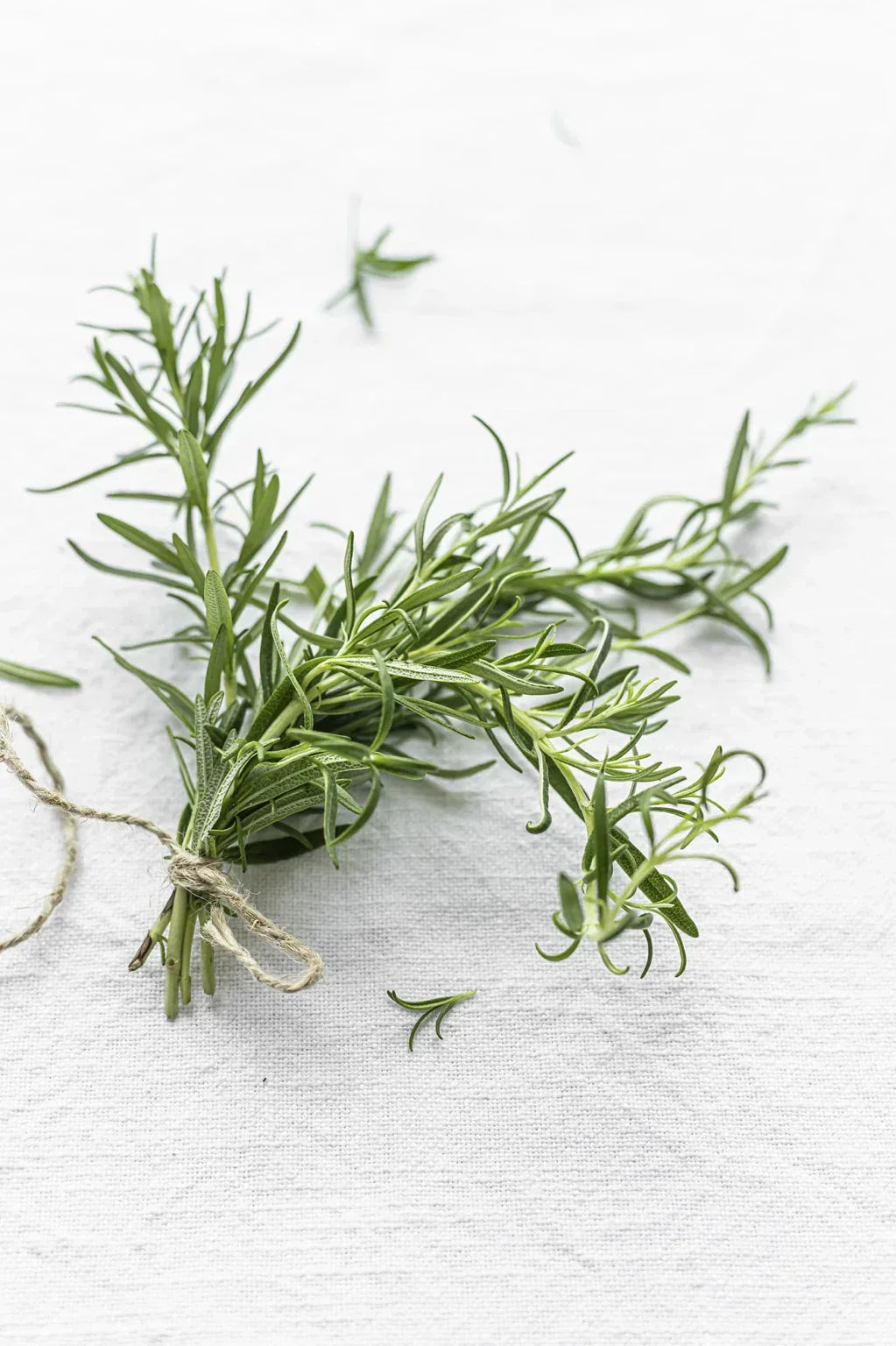 : Brin de romarin frais attaché avec une ficelle, ingrédient naturel stimulant la pousse et fortifiant les cheveux.