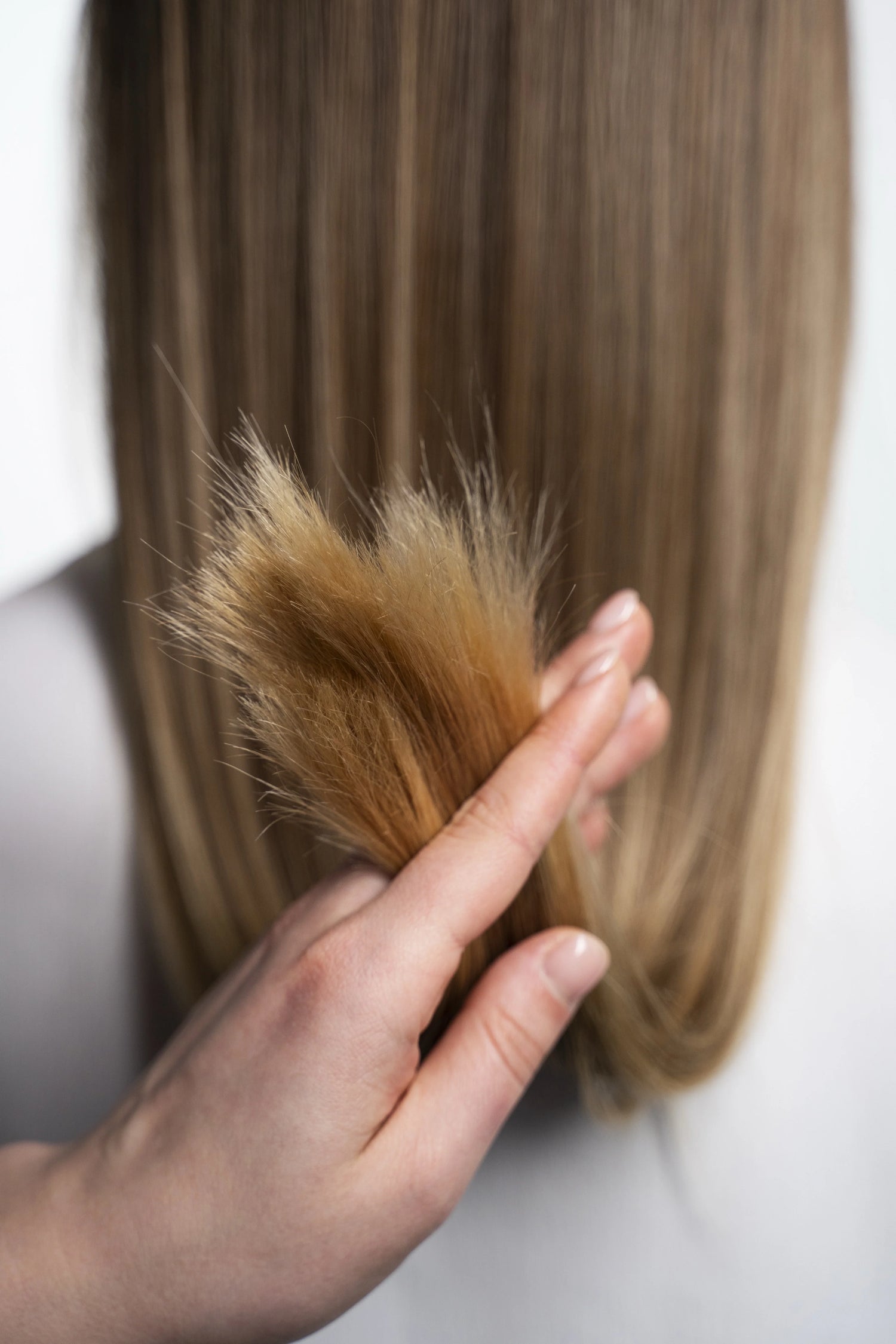 Main montrant des pointes de cheveux abîmées et fourchues après une coloration maison