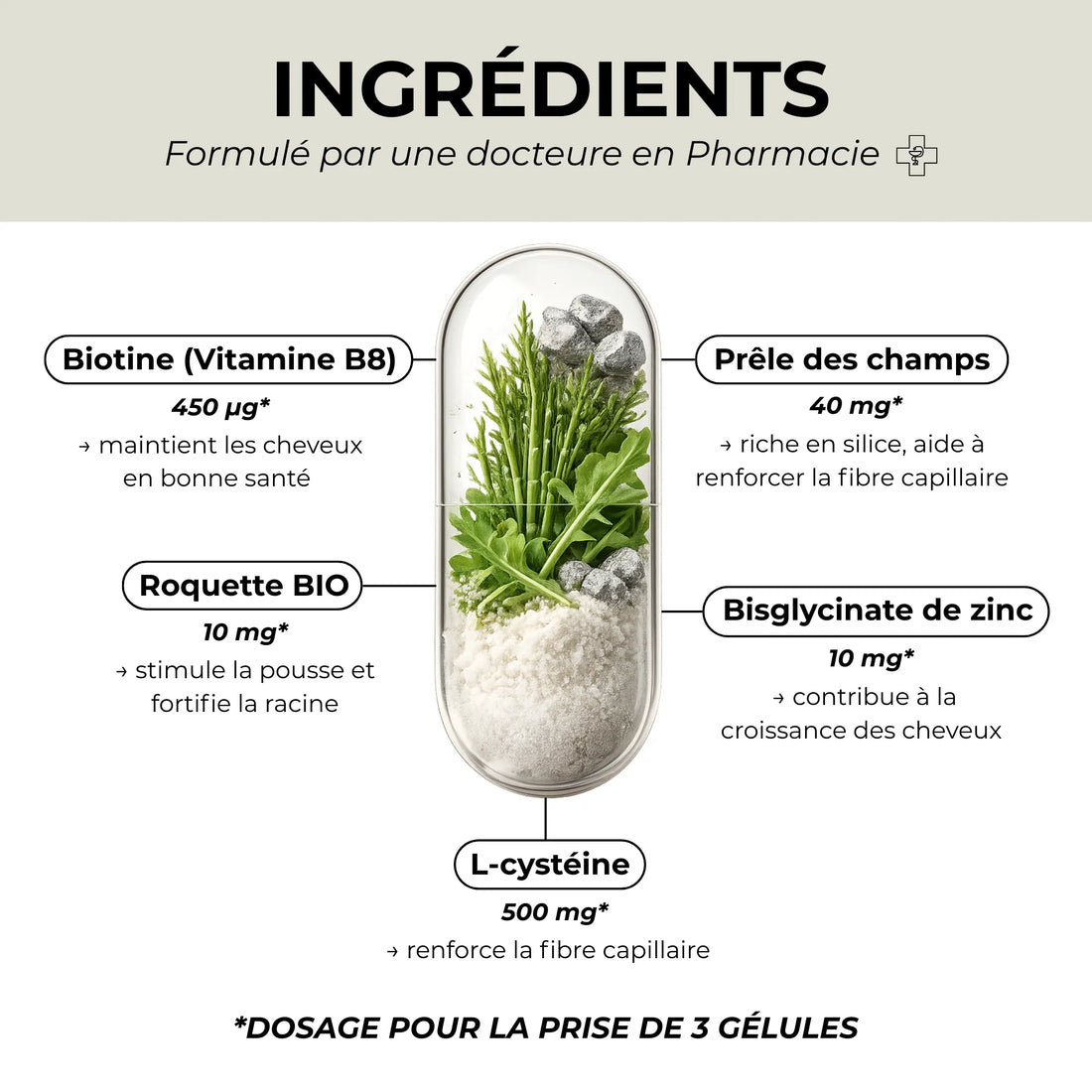 Ingrédients du complément alimentaire cheveux Biologist Mood cure 2 mois avec biotine zinc prêle des champs roquette bio et L-cystéine pour renforcer et stimuler la pousse des cheveux