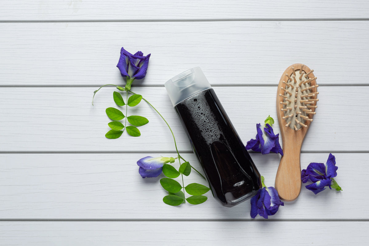 Shampoing naturel à la fleur de pois papillon, soin végétal favorisant la brillance et la croissance des cheveux.