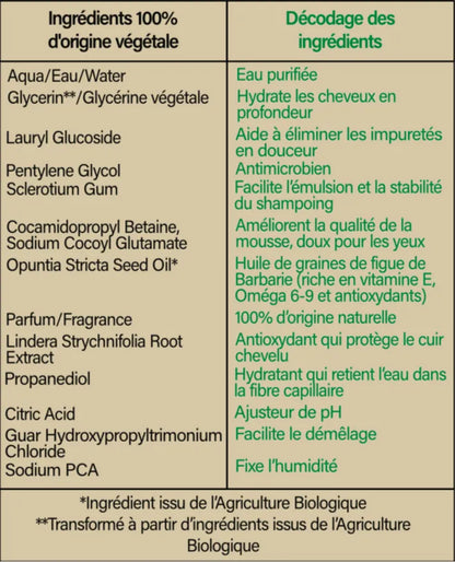 Liste des ingrédients naturels du shampoing nourrissant et hydratant à la figue de Barbarie – Biologist Mood